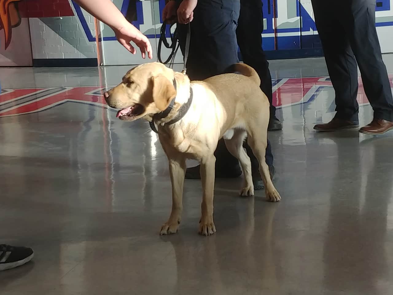 arresti droga Genova