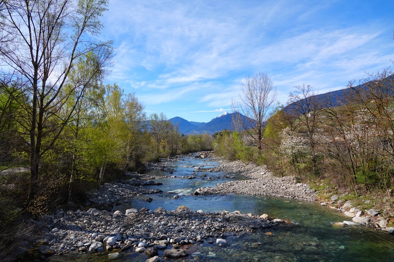Fiume Tagliamento
