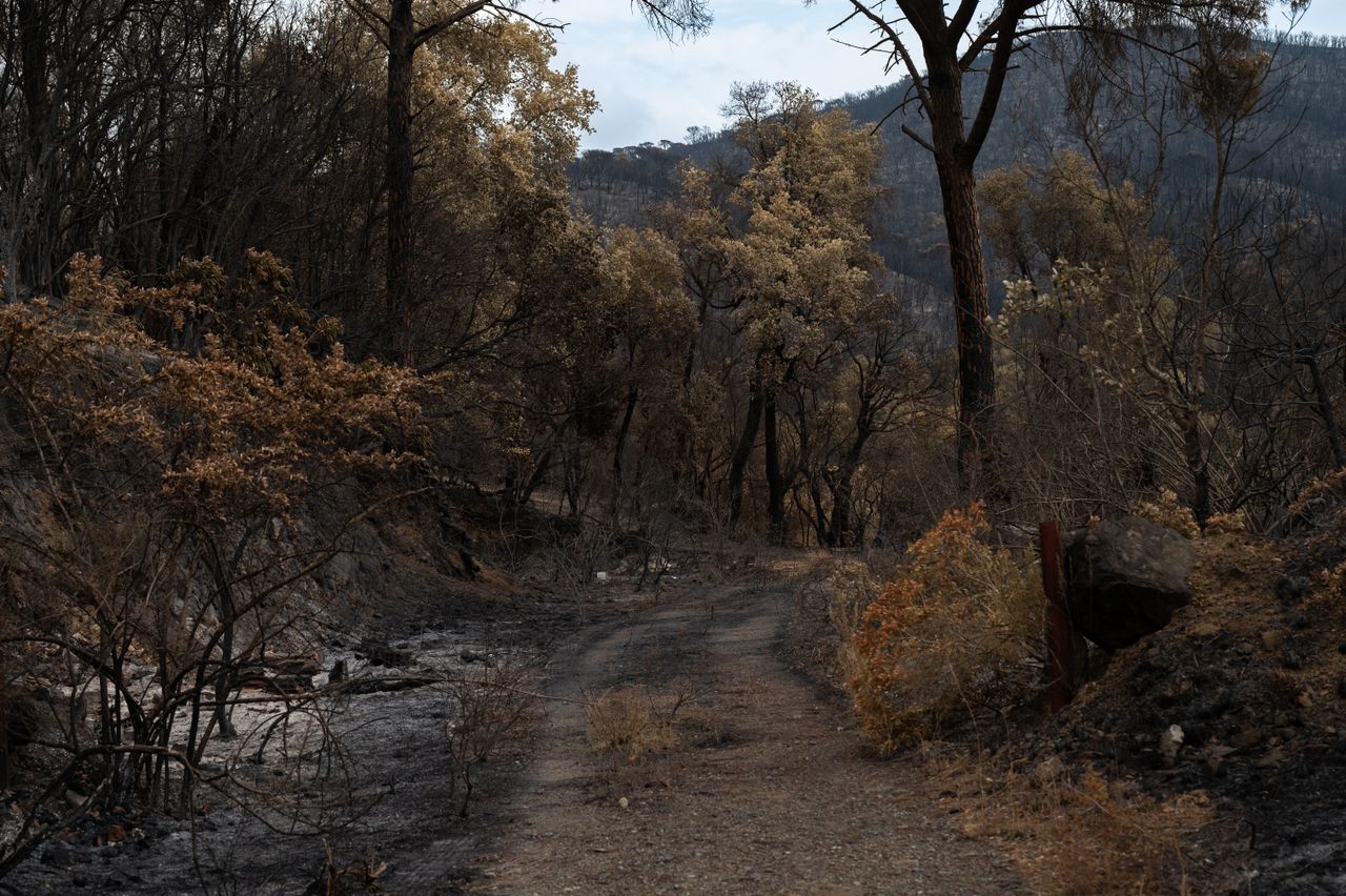 Incendi Abruzzo